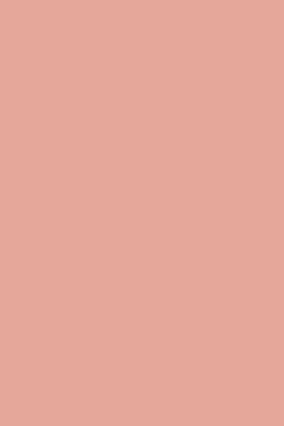 Farrow&Ball  Blooth Pink No. 9806 750ml 6 Year Full Gloss