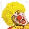 Clownspruik met krullen