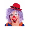 Kleurige clownspruiken