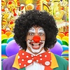 Clownspruik