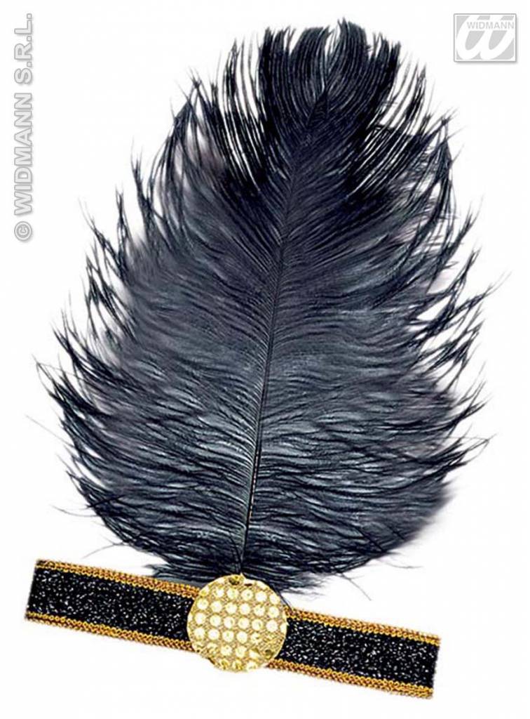 omhelzing staart vleugel Charleston haarband met grote veer