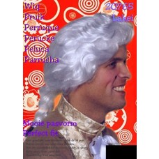 Carnaval- & feest accessoires: Pruik Rococo man