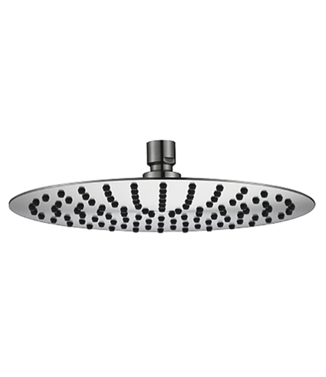 RVS Douchekop met Plafonbuis BLPD119 Haakrvs