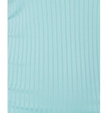 PARISIAN Rib Knit Polo Neck Long Sleeve Midi Dress  - Dames - Mint