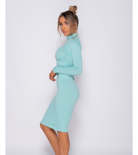 PARISIAN Rib Knit Polo Neck Long Sleeve Midi Dress  - Dames - Mint