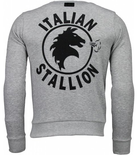 Local Fanatic Rocky Balboa - Rhinestone Sweater - Grijs