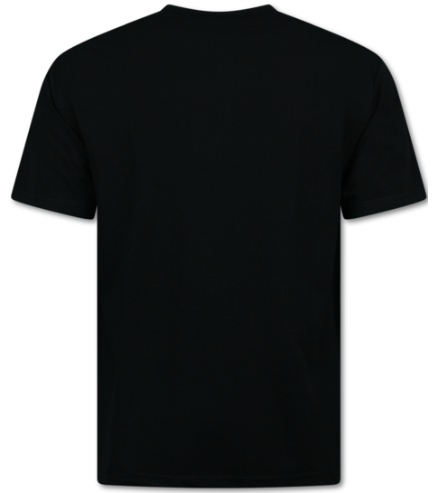 True Rise Tupac Shirt - Heren Tshirt met Opdruk  - T shirt Heren met Print - Funny Shirt  - 663 - Zwart