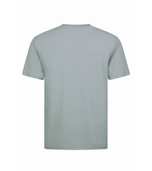 True Rise T shirt Heren Oversized  - Effen T-shirt  Blanco - 6530 - Grijs