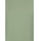 True Rise T shirt Heren Oversized  - Effen T-shirt  Blanco - 6530 - Groen