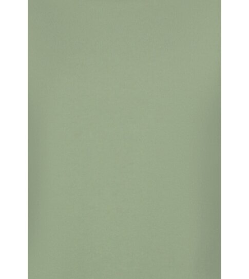 True Rise T shirt Heren Oversized  - Effen T-shirt  Blanco - 6530 - Groen