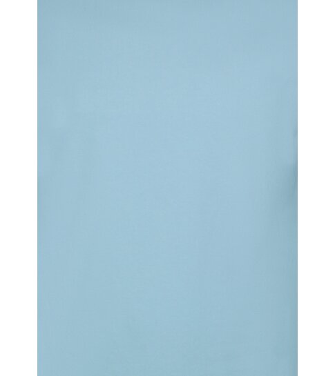 True Rise T shirt Heren Oversized  - Effen T-shirt  Blanco - 6530 - Blauw