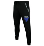 TopStar Chicago Trainingspakken Heren  - Bull Joggingpak Heren - Huispak Heren Volwassenen - 5231 - Wit