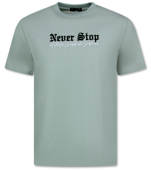 True Rise Oversized T shirt Heren  - T shirt Heren met Print - Funny Shirt  - 700 - Grijs