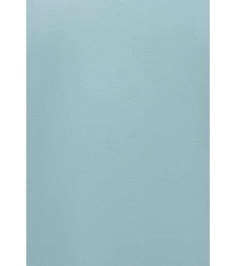New Ment Poloshirt - Poloshirts Heren Korte Mouw - Poloshirt Heren - Slim Fit - A150 - Licht Blauw