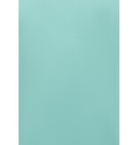 True Rise Polo Heren - Poloshirts Heren Korte Mouw - Herenpolo - Slim Fit - A150 - Mint Groen