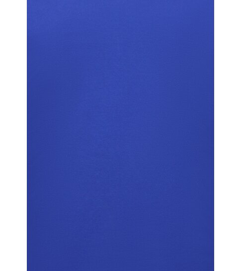 True Rise Heren Polo - Polo Heren Korte Mouw  - Polo Shirt Heren - Slim Fit - A150 - Cobalt Blauw