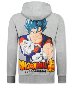 TRUE RISE Oversized Hoodie Heren met Capuchon - Dragon Ball Print - Dik Geweven - 5682 - Grijs