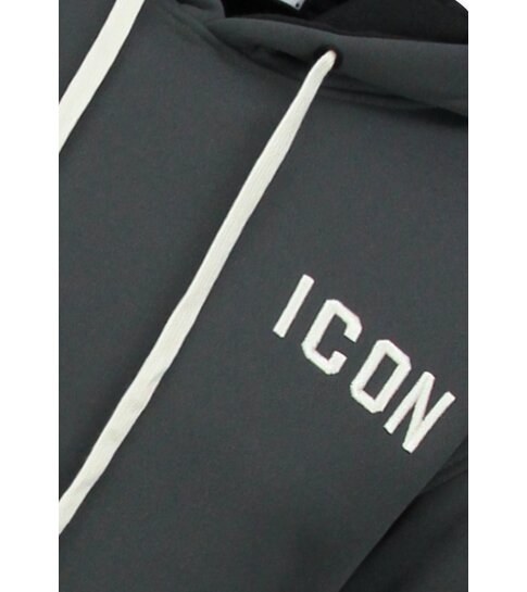 TRUE RISE Oversized Hoodie Heren met Capuchon - ICON Dollar Print - Dik Geweven - 5567 - Grijs