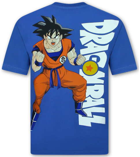 True Rise Heren T shirt  met Print - Tshirts Heren Grappig - Oversized T shirt Heren - Dragon Ball -1969-  Blauw