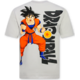 Heren Tshirts Dragon Ball - Tshirts Heren Grappig - Oversized T shirt Heren -1965-  Grijs