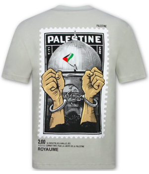 True Rise Free Palestine Oversized HerenT shirt  - T shirt Heren met Print - 183-  Grey