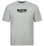 True Rise Free Palestine Oversized HerenT shirt  - T shirt Heren met Print - 183-  Grey