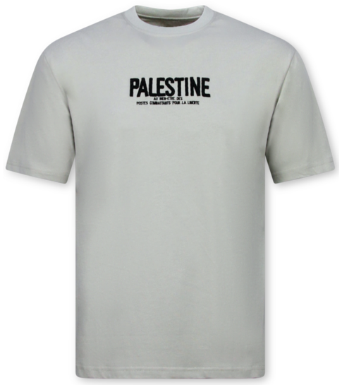 True Rise Free Palestine Oversized HerenT shirt  - T shirt Heren met Print - 183-  Grey