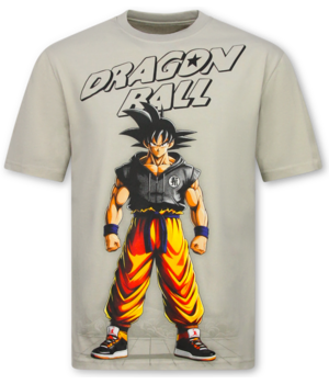 True Rise Dragon Ball Z Shirt - Tshirts Heren Grappig - Oversized T shirt Heren -312- Grijs