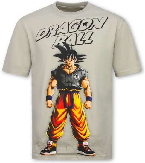 True Rise Dragon Ball Z Shirt - Tshirts Heren Grappig - Oversized T shirt Heren -312- Grijs