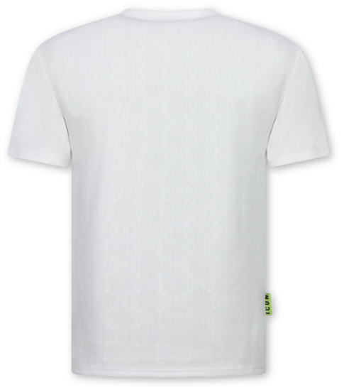 True Rise Zomerset Heren ICON - Oversized T shirt en Short Heren - Twinset - 2096 - Wit