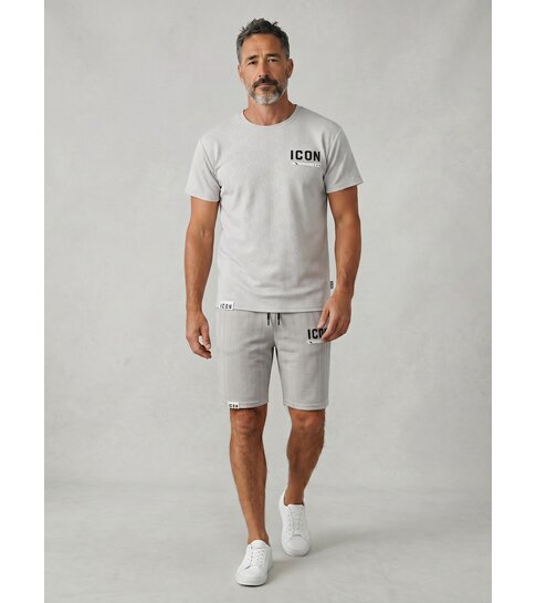 True Rise Zomerset Heren ICON - Oversized T shirt en Short Heren - Twinset - 2096 - Grijs