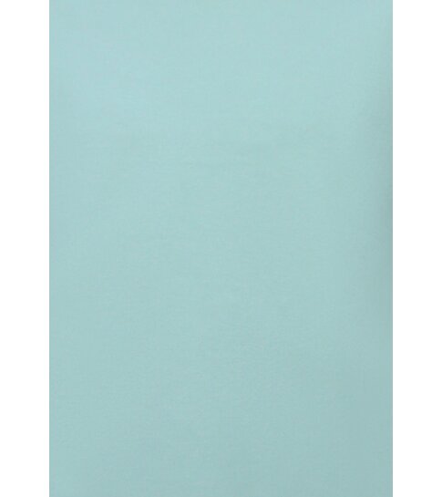 True Rise Oversized T shirt Heren  - Effen T shirt Heren  Blanco - MD6530 - Mint Groen