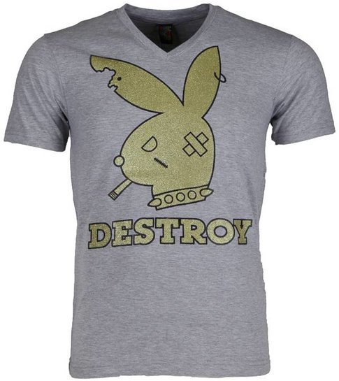 Local Fanatic T-shirt - Destroy - Grijs