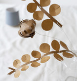 FIELD flowers – small browns