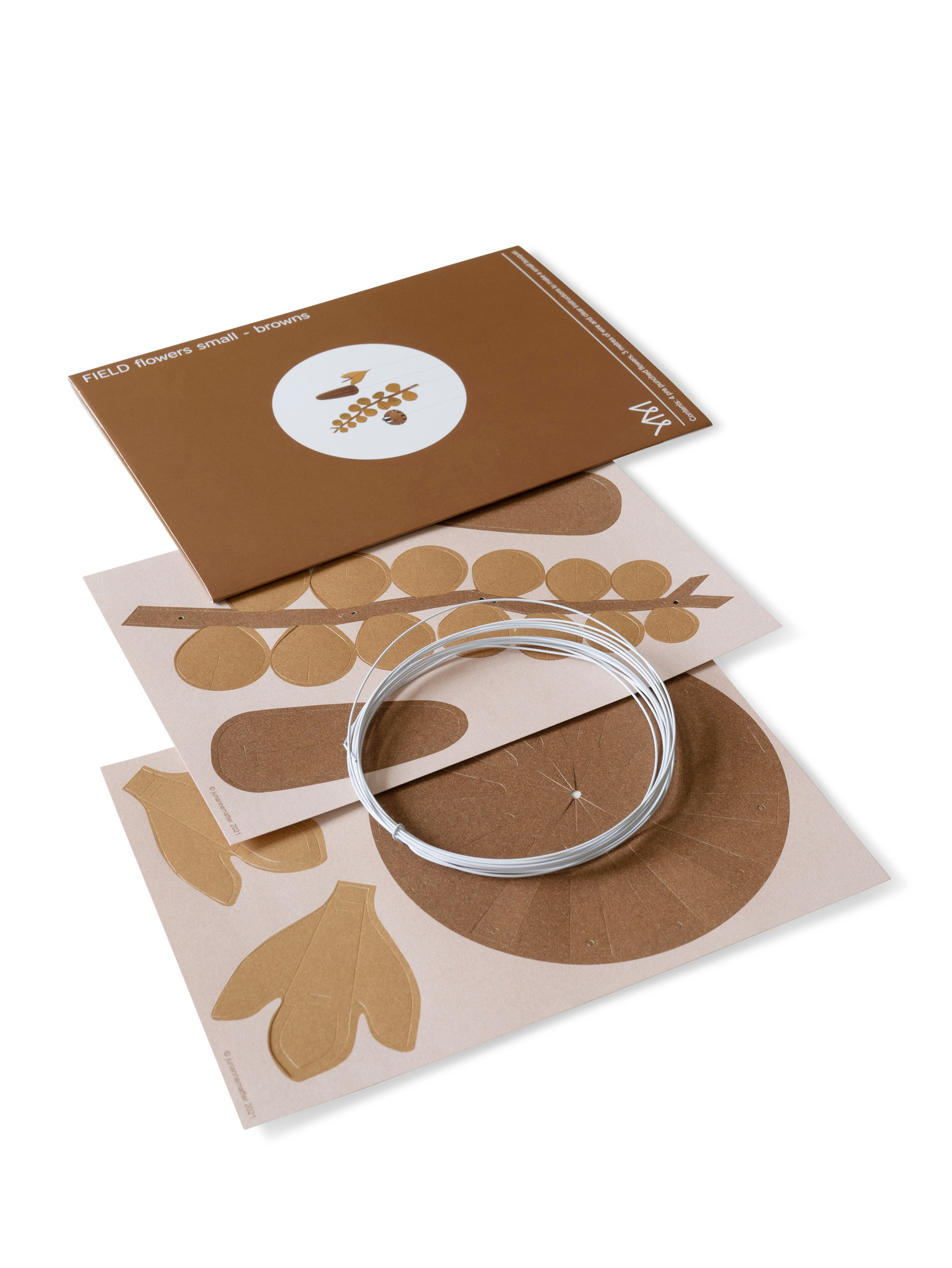 FIELD flowers – small browns