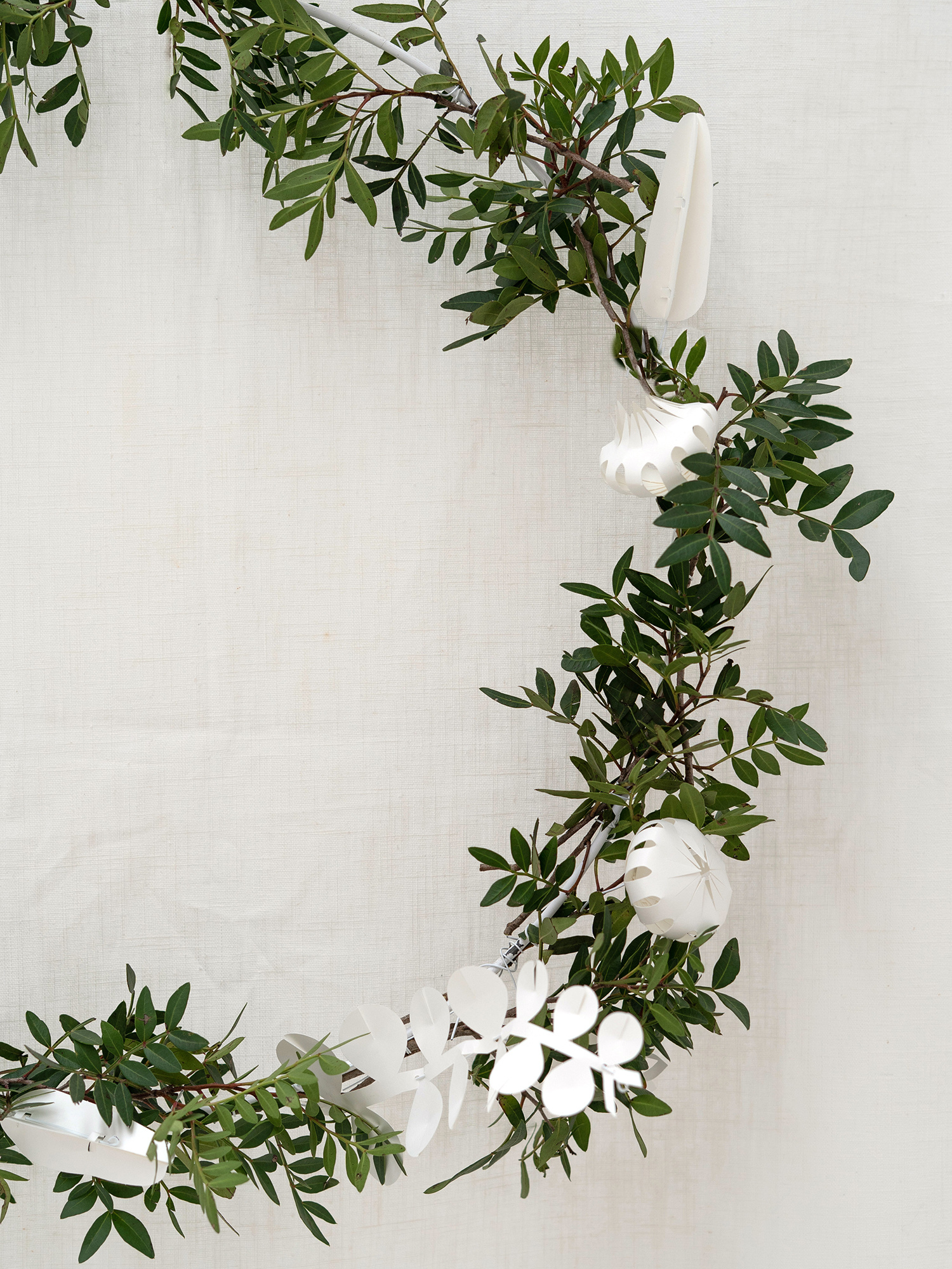 FIELD flowers – small white | four white paper flowers DIY kit