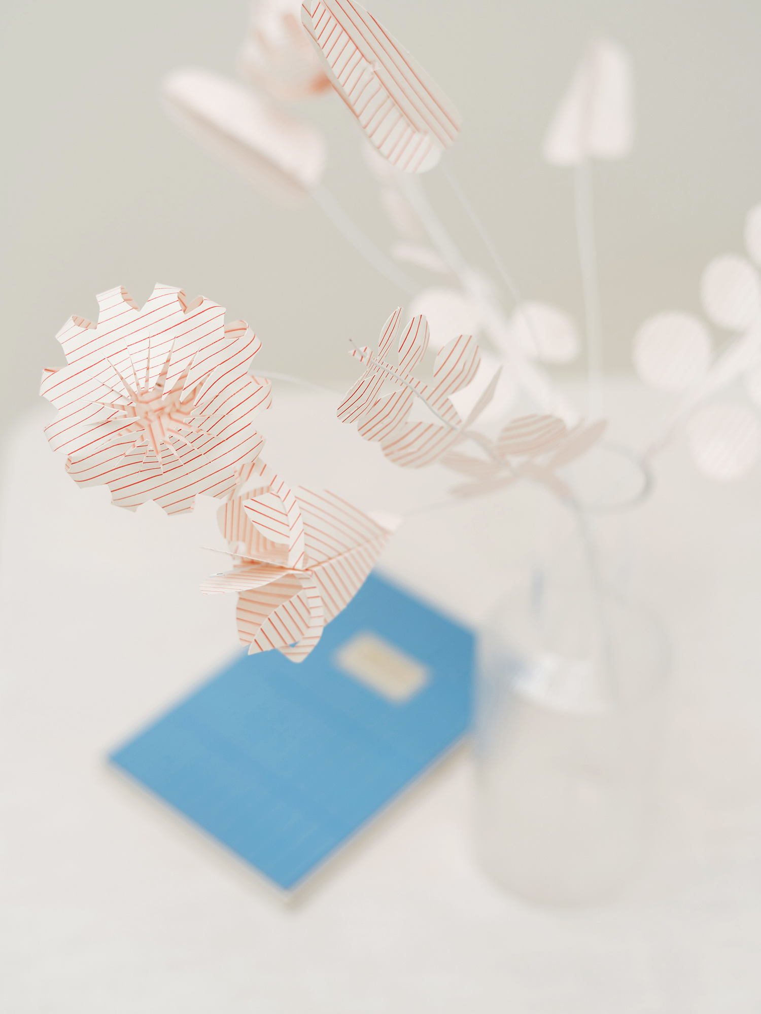 FIELD white large - white | twelve white paper flowers DIY kit