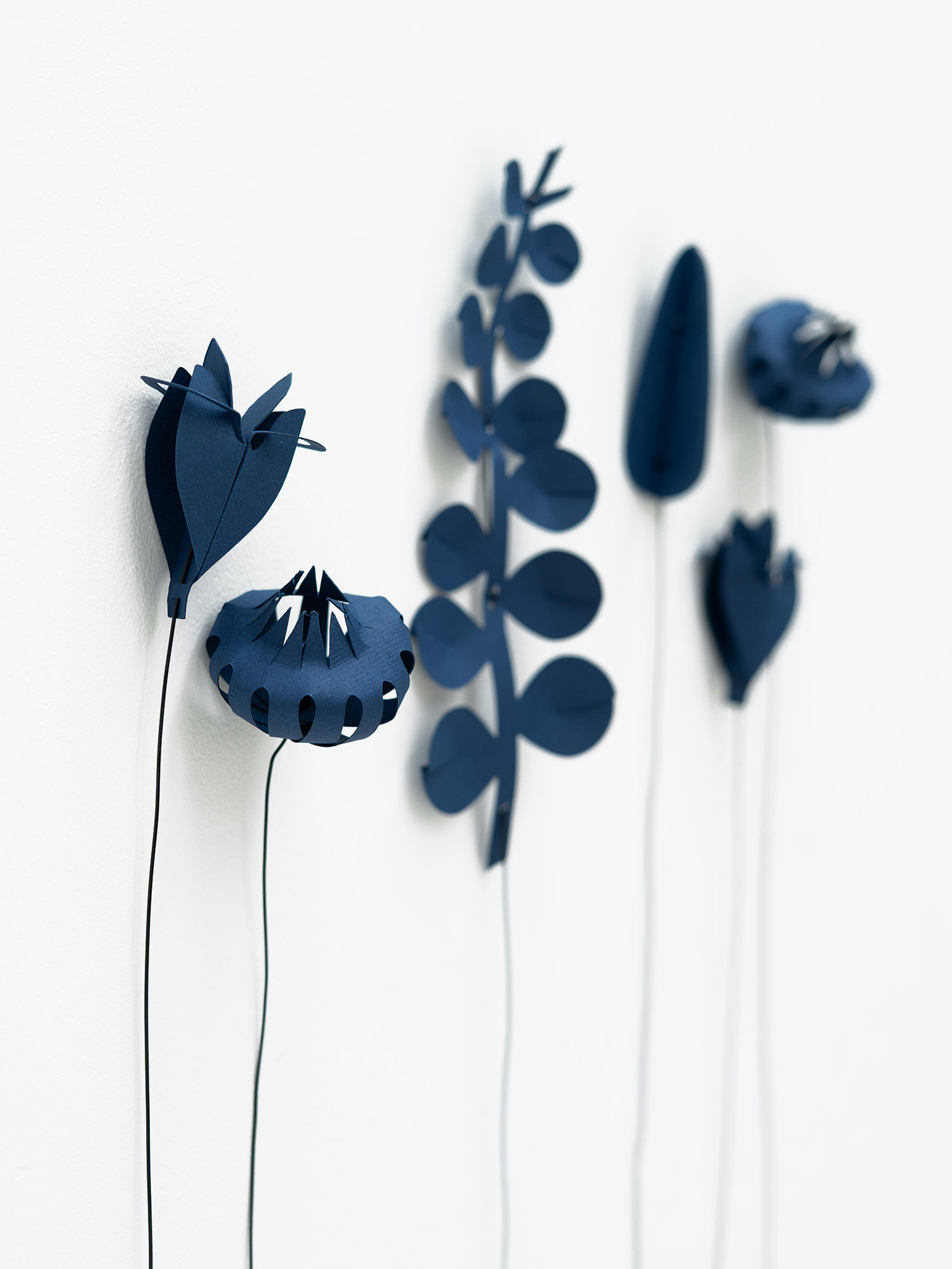 FIELD  flowers small - dusk blue