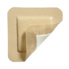 Molnlycke Mepilex Border