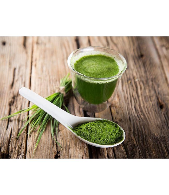Lyo Food Powders Barley Grass