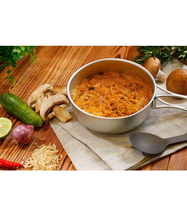 Expedition Foods Beef Stroganoff with Rice