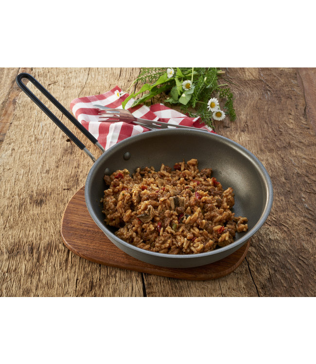 Emergency Food Beef Stroganoff with Rice