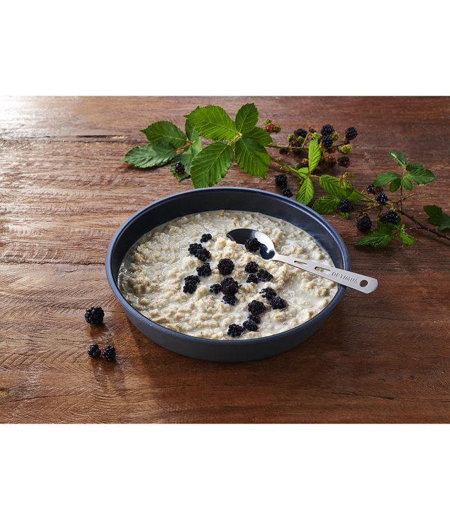 Trek 'n Eat Protein Porridge