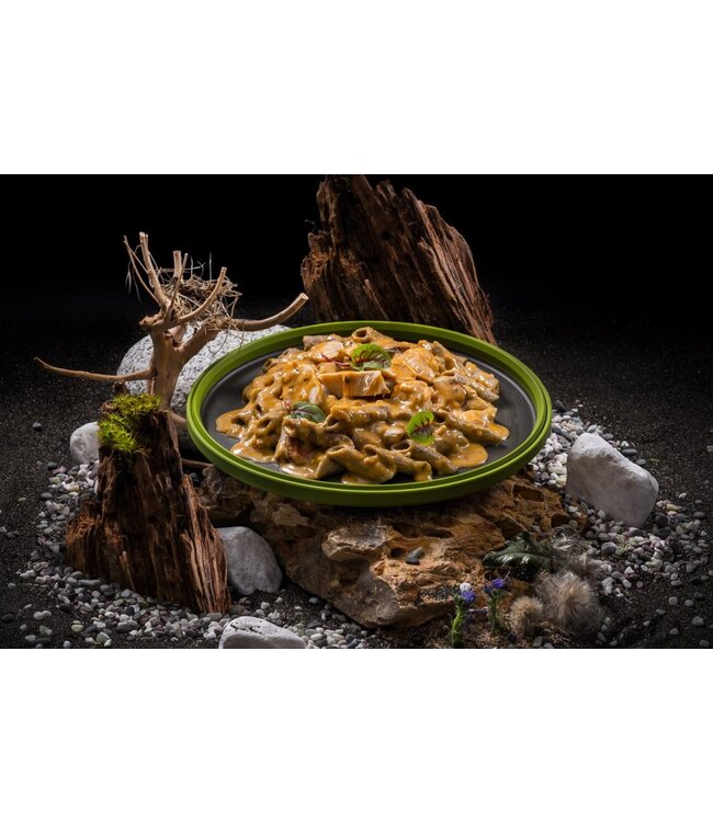 Adventure Menu Cricket protein penne with chicken in creole cream sauce