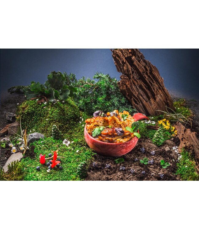 Adventure Menu KIDS Mac and Cheese