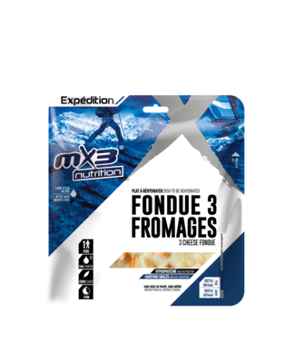 MX3 3 cheese fondue