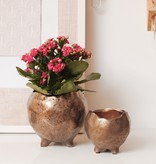 BRONZE PLANTER - SMALL