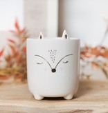 LITTLE FOX - PLANTER