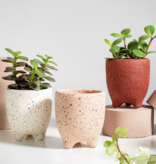 SPECKLED LEGGY PLANTER - MAROON