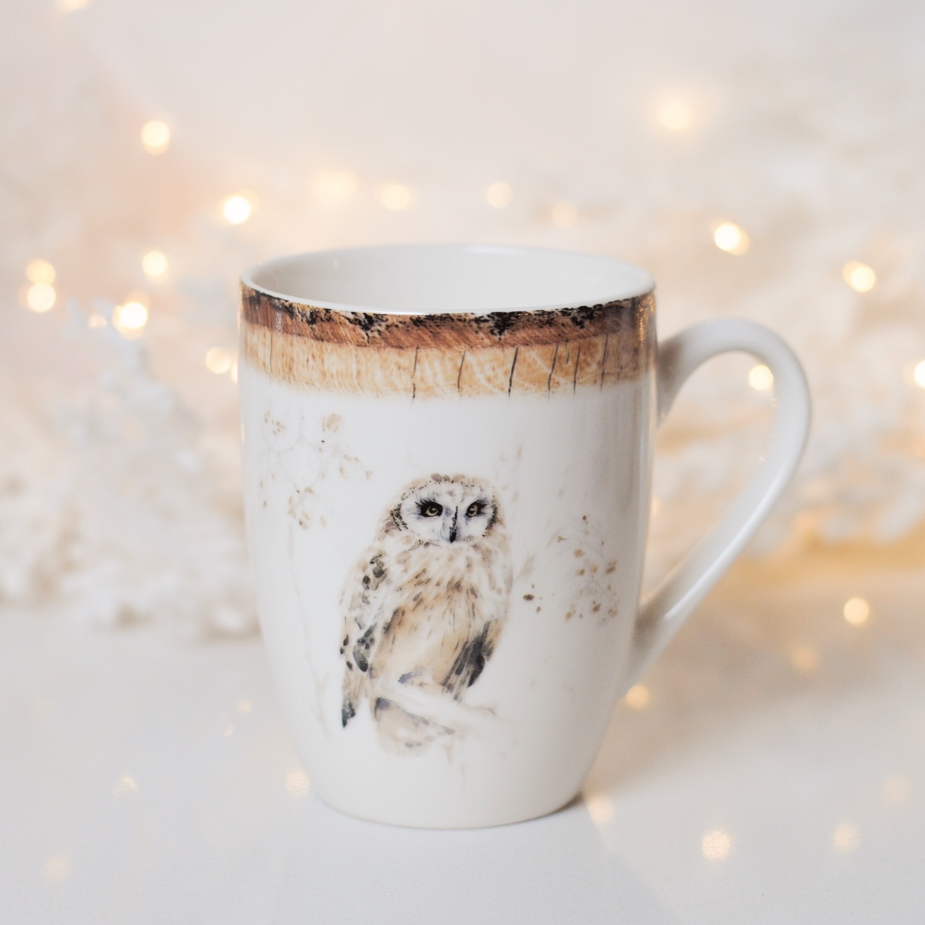 WINTER OWL MUG